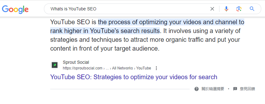 什么是 YouTube SEO?
